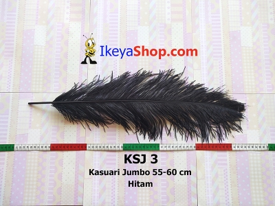 KSJ 3  large2
